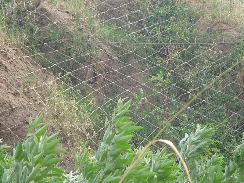 浙江GAR2型主動防護網