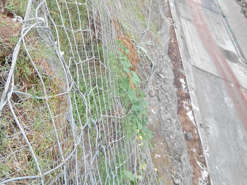 哈爾濱TC-65B型主動防護網